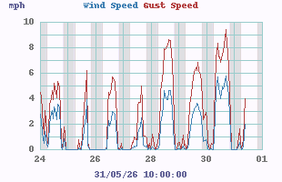 wind graph