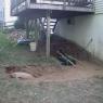 New Deck
