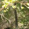 zion_4_taylor_creek_055
