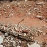 zion_4_taylor_creek_056