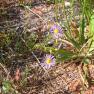 zion_4_taylor_creek_075