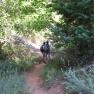 zion_4_taylor_creek_082