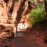 Zion