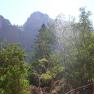 zion_6_emerald_pools_070