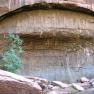 zion_7_riverside_walk_044