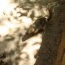 zion_7_riverside_walk_190