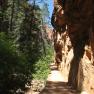 zion_8_Angels_Landing_052