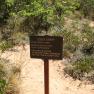 zion_8_Angels_Landing_111