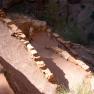 zion_8_Angels_Landing_128